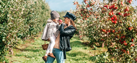 Apple Picking 101: How to Plan Your First Orchard Trip in the U.S.