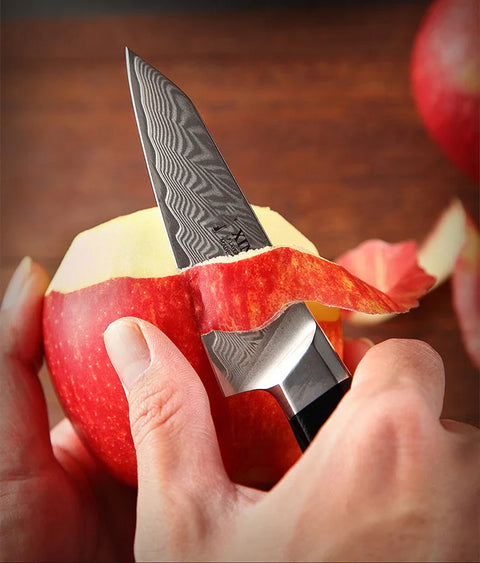 Wudy Balmond 3.5 Inch Damascus Knife