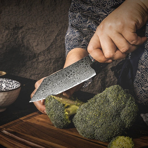 67-Layer Damascus Chef Knife โ Resin & Solidified Wood Handle, Forged Steel