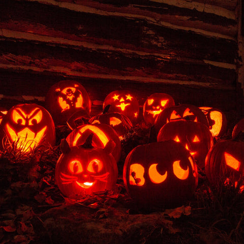 13-Piece Halloween Pumpkin Carving Kit – Stainless Steel