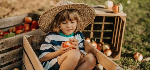 5 Ways to Preserve Your Apples This Fall: Canning, Freezing & More