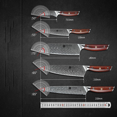 XINZUO 7-Piece 67-Layer Damascus Knife Set with Acacia Block