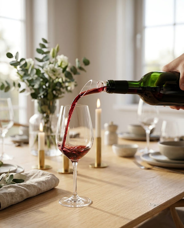 Wine Pourer & Aerator — Wudy Kitchen, image 1