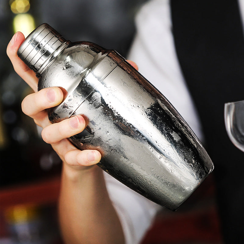 Stainless Cocktail Shaker · 600 ml