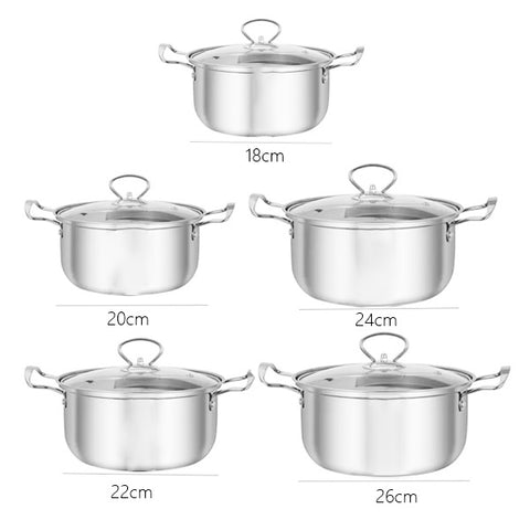Premium Stainless Steel 5-Piece Cooking Pot Set with Glass Lids
