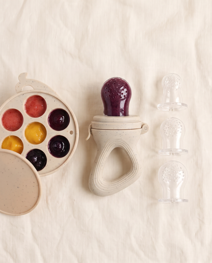 Silicone Baby Fruit Feeder & Freezer Tray Set