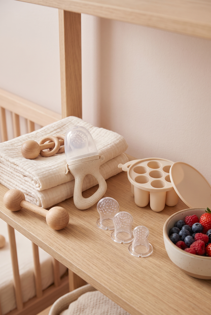 Silicone Baby Fruit Feeder & Freezer Tray Set