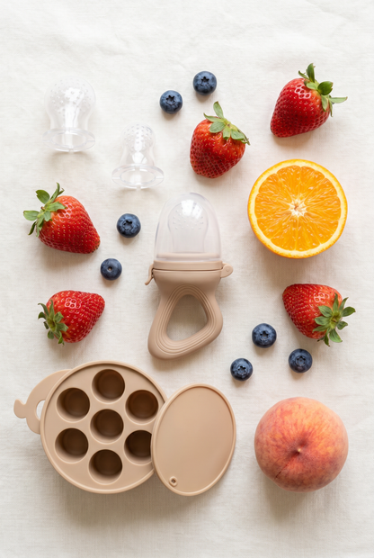 Silicone Baby Fruit Feeder & Freezer Tray Set
