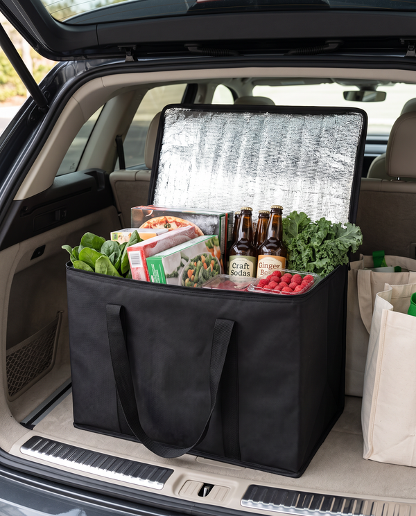 XL Insulated Cooler Bag — Wudy Kitchen, image 2