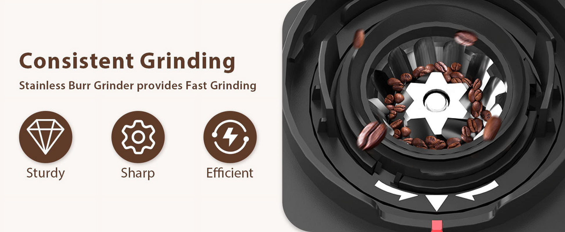 Burr Coffee Grinder,  Coffee Grinder with 25 Grind Setting, Electric 2-12-Cup Coffee Grinder
