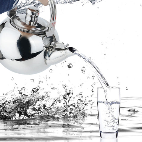 1.6L Stainless Steel Teapot with Built-in Infuser – Silver