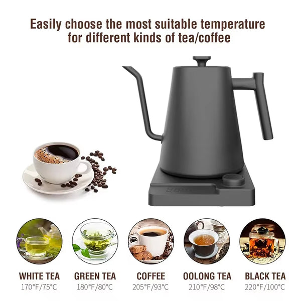 1200W Gooseneck Electric Kettle with Temperature Control Electric Kettle for Coffee and Tea Kettle Coffee Pot 110V/220V