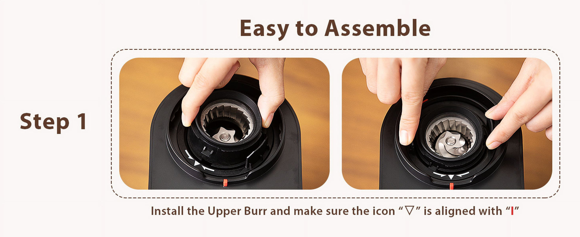 Burr Coffee Grinder,  Coffee Grinder with 25 Grind Setting, Electric 2-12-Cup Coffee Grinder