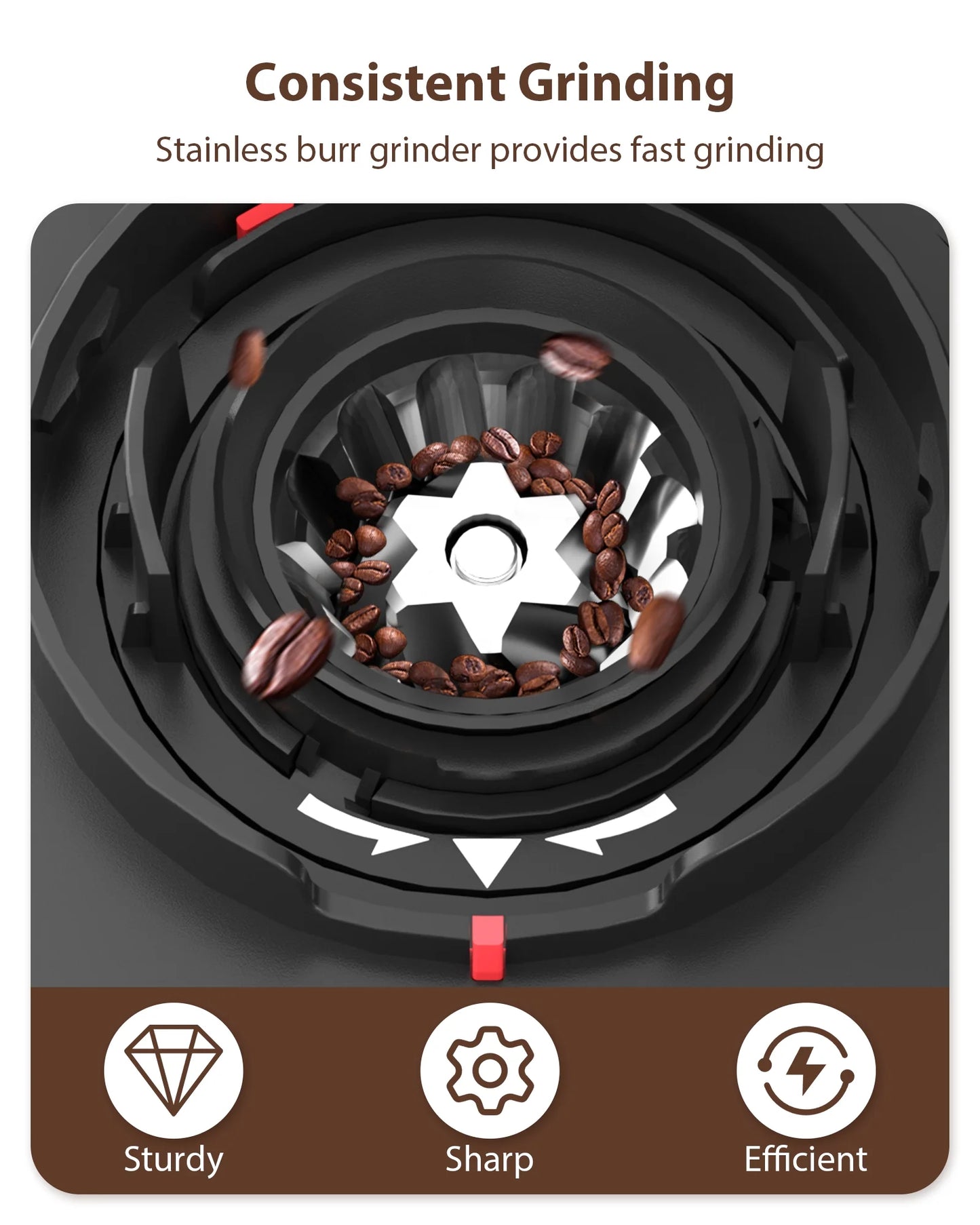 Burr Coffee Grinder,  Coffee Grinder with 25 Grind Setting, Electric 2-12-Cup Coffee Grinder