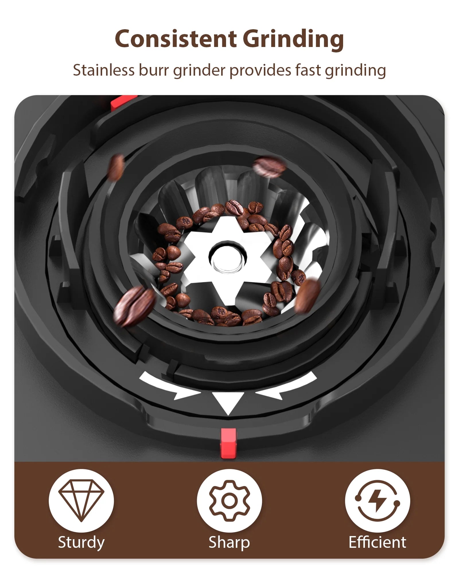 Burr Coffee Grinder,  Coffee Grinder with 25 Grind Setting, Electric 2-12-Cup Coffee Grinder