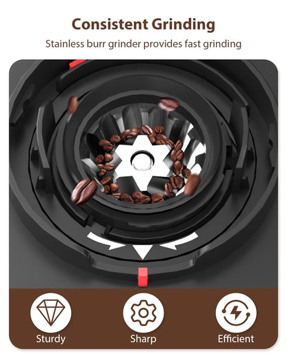 Burr Coffee Grinder,  Coffee Grinder with 25 Grind Setting, Electric 2-12-Cup Coffee Grinder