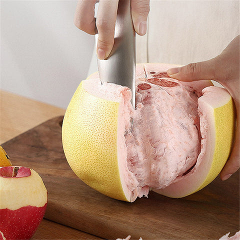 Wudy Peel Pro- Steel Peeler & Fruit Knife